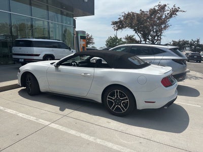 2019 Ford Mustang EcoBoost Premium