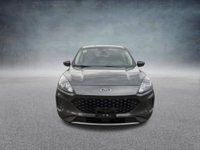 2020 Ford Escape Hybrid SE Sport