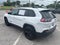 2019 Jeep Cherokee Altitude