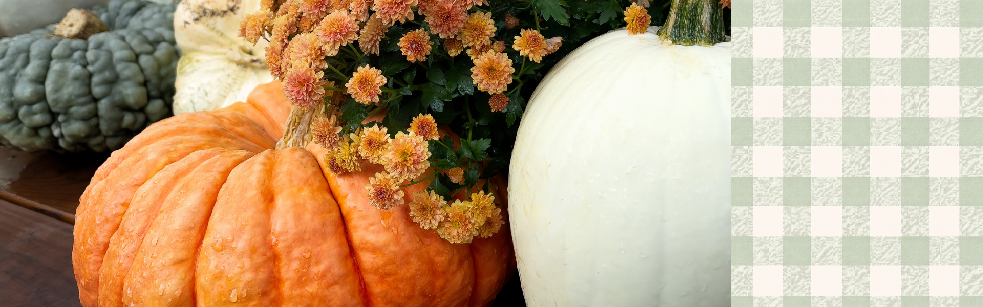 Fall Car Care Checklist: Is Your Vehicle Ready for the Season?